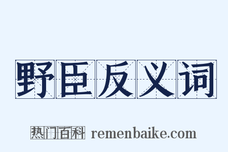 野臣反义词是什么意思的图片